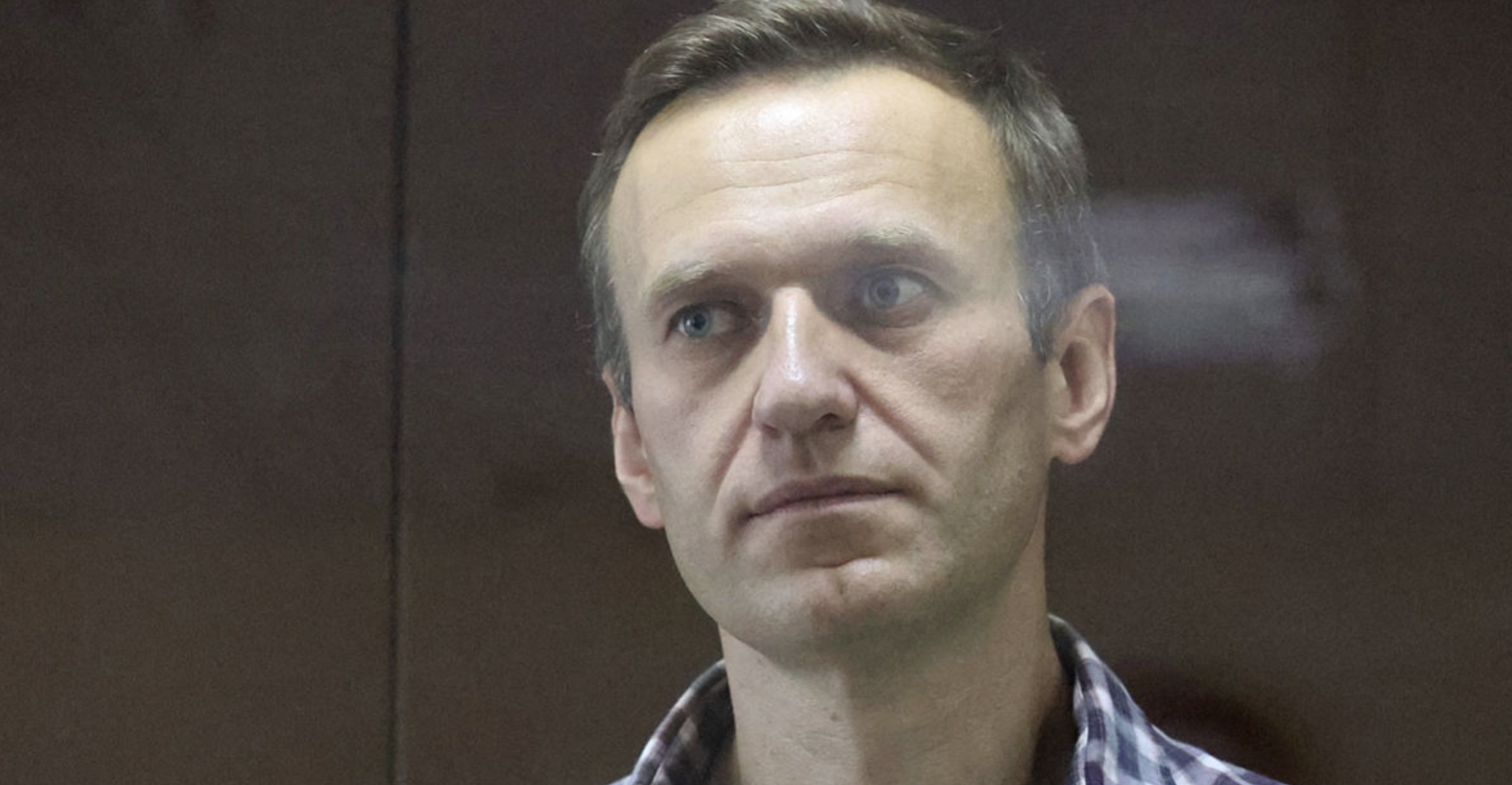 Блогера навального. Навальный 2020. Навальный фото.