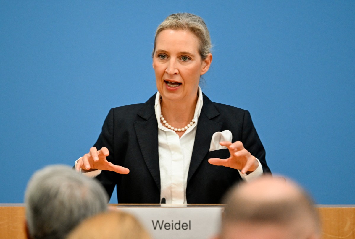 Утечка AfD снова поставила Вайдель под давление